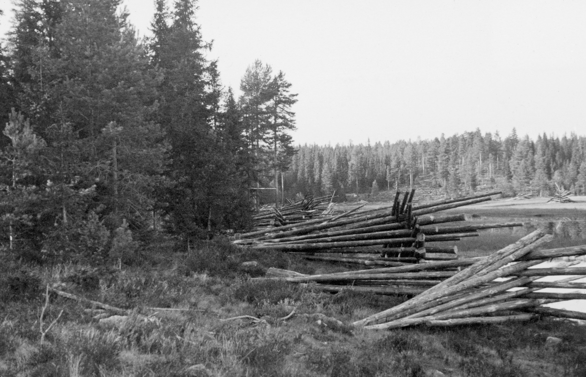 Opptrukket søkketømmer, slipvirke (papirråstoff), oppsatt i plogformete reis i strandsona ved sjøen Storbronken i Våler i Hedmark. Fotografiet ble tatt i september 1934, Bronkåa brukte å være utfløtt i midten av juni, så dette var tømmer som ikke kunne fløtes før neste års fløting, som sannsynligvis begynte tidligst i midten av mai påfølgende år. I mellomtida gjorde man sitt beste for å tørke virket, for å redusere fuktprosenten og dermed øke sjansen for at stokkene vlle holde seg flytende til de nådde lenseanleggene i de lengre nede i vassdraget.