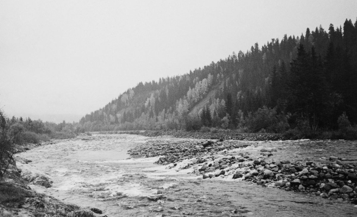 Steinete elvefar ved Ingeborgstua i Imsa i Stor-Elvdal i Hedmark. Fotografiet er tatt i medstrøms retning på et sted der det var litt fall i elveløpet, cirka ett år etter at en storflom i den nedre delen av dette vassdraget. Et kraftig høstregn utløste ras i ei sandmæl ved sideelva Eldåa. Rasmassene sperret i første omgang åløpet, men da trykket fra vannmassene ble stort nok brast denne dammen. Vannmassene skylte med seg jord, stein og trær og gjorde stor skade på de forbygningene som skulle lette fløtinga. Etterpå samlet Christiania Tømmerdirektions fløtingsinspektør sentrale aktører i den lokale fløtingsforeningen for å diskutere hvilke tiltak som måtte til for å gjøre den nedre delen av dette vassdraget fløtbart igjen. Et av tiltakene som ble foreslått var å fjerne en del ører ved Ingeborgstuen og i Imsosen. Stor-Elvdal kommune bidro med midler som gjorde det mulig å sysselsette arbeidsledige i dette prosjektet. Seinhøstes i 1935, like etter at dette fotografiet ble tatt, arbeidet 24 mann med dette prosjektet.