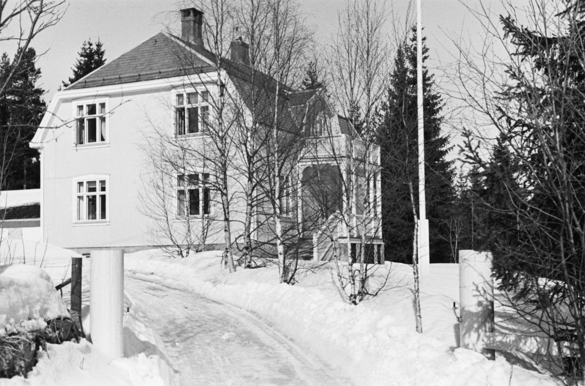 Boligen til Glomma fellesfløtingsforenings distriktsinspektør på Rena i Åmot, Hedmark. Huset ble bygd for Karen (1884-1940) og Odd Daae (1884-1959), som kjøpte tomta i 1915. Odd Daae hadde da vært Christiania Tømmerdirektions fløtingsinspektør i Østerdalen siden 1912. I 1919 fikk Daae stillingen som direktør for Nedre Laagens Fællesfløtningsforening. Dermed flyttet Karen og Odd Daae med sine to sønner til Hedrum i Vestfold. Villaen de hadde fått bygd på Rena, på ei tomt som ble fradelt under navnet Bækhaugen (Bekkhaugen) ble solgt til Christiania Tømmerdirektion, som ønsket å bruke den som bolig for etterfølgende fløtingsfunksjonærer på Rena (jfr. fanen «Opplysninger»). Etter at familien Daae solgte villaen og flyttet var det ingeniør Jon Rønning (1883-1928) overtok Daaes stilling, og bodde på Bekkhaugen sammen med kona Rønnaug Steig Rønning (1885-1976) og tre døtre. Da Rønning døde ble Brede Thurmann (1896-1963) fløtingsinspektør i Østerdalen, med bopæl å Bækhaugen/Bekkhaugen. Han var ungkar da han kom til Åmot, men giftet seg i 1934 med Ada Johnsen (1908-2004) fra Drøbak. Det var Ada og Brede Thurmann som bodde i huset da dette fotografiet ble tatt. Villaen er reist på en bakkekam, vegen mot Åslia, og med utsikt over dalføret. Dette er et reisverkshus med tretoms stående plank i alle bærende vegger. Fasadene er bordkledde og har krysspostvinduer. Huset hadde skiftertekket mansardtak uten svai. Villaen hadde to skorsteinspiper. På langveggen mot dalføret og Glomma er det en ark med dør ut til en altan. Villaen har jugendtstiltrekk, noe som var vanlig iden perioden den ble bygd. Seinere, i 1950-åra, ble det reist et tilbygg med kontor på vestsida av bygningen (til venstre på dette bildet). Innkjøringa til eiendommen er flyttet på grunn av omlegging av omkringliggende vegnett. I nyere tid har eiendommen fått adresse Skoleveien 5.