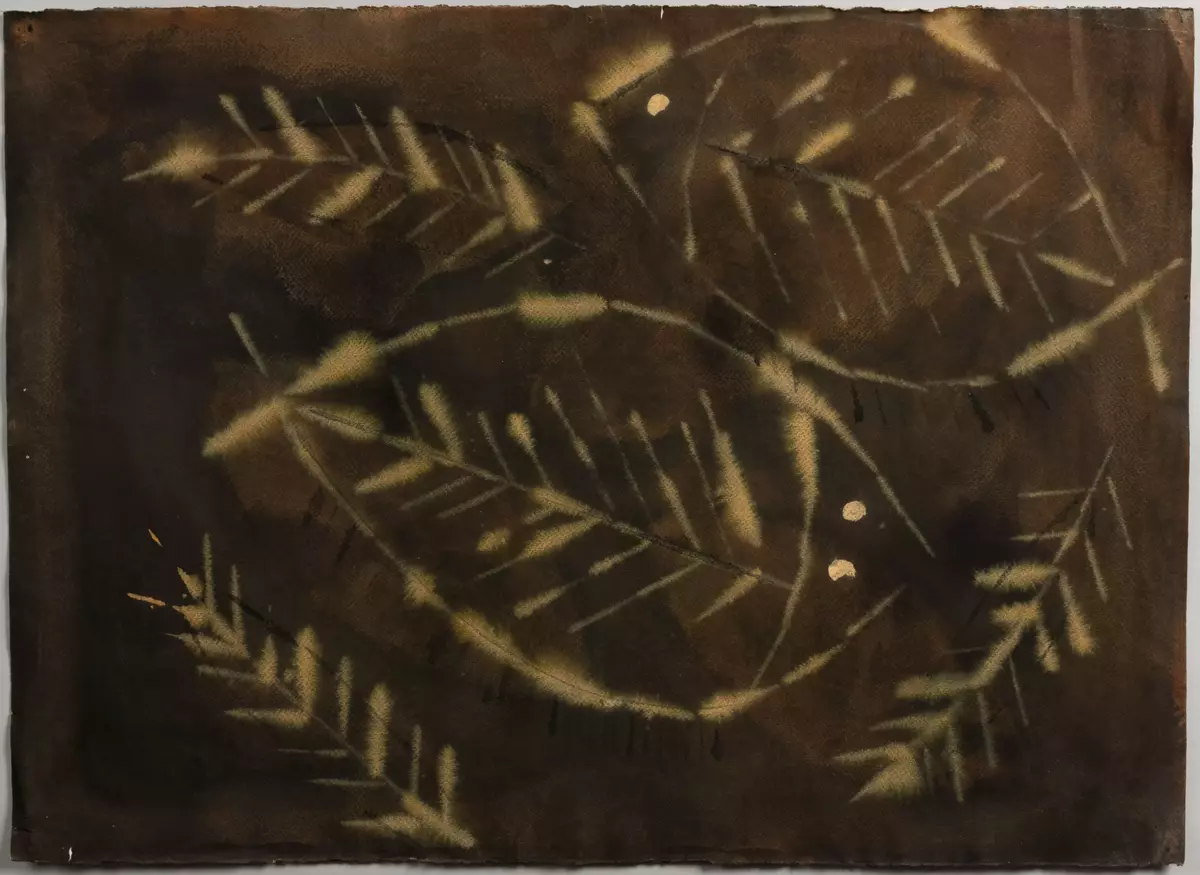 Dubbelsidig skiss till textil i gouache på akvarellpapper.
Framsida: Två beiga plattfiskar målade på brun bakgrund.
Baksida: Apelsiner och citroner på en gul, orange och grönmelerad bakgrund.