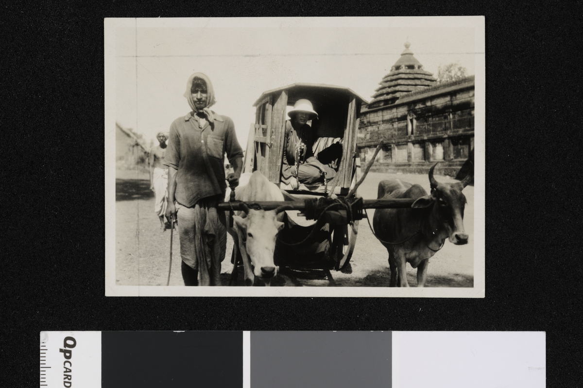 Elisabeth Meyer i oksekjerre i omegnen av Puri. Fotografi tatt i forbindelse med Elisabeth Meyers reise til India 1932-33.
