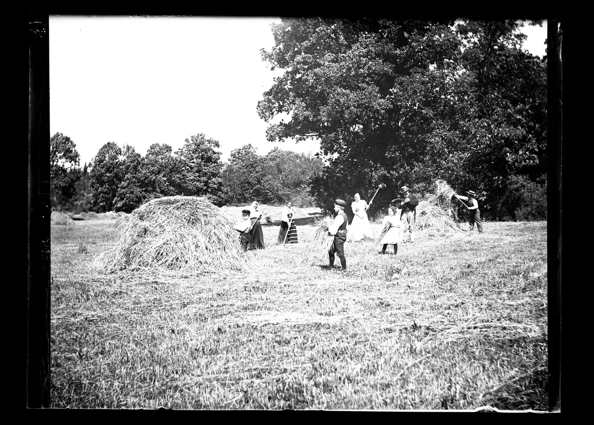"SjoÌˆstugans befolkning pÃ¥ hoÌˆbaÌˆrgning 13 juli 1899. Morfar vid lien, pappa, mamma, Mathilda, Hugo, Karl, Nelly och Susanna NejstrÃ¶m."
Bilden togs troligen av Axel Pehrson som bodde i SjÃ¶stugan, SÃ¤tra, pÃ¥ somrarna. SjÃ¶stugan lÃ¥g vid den gamla bryggan.