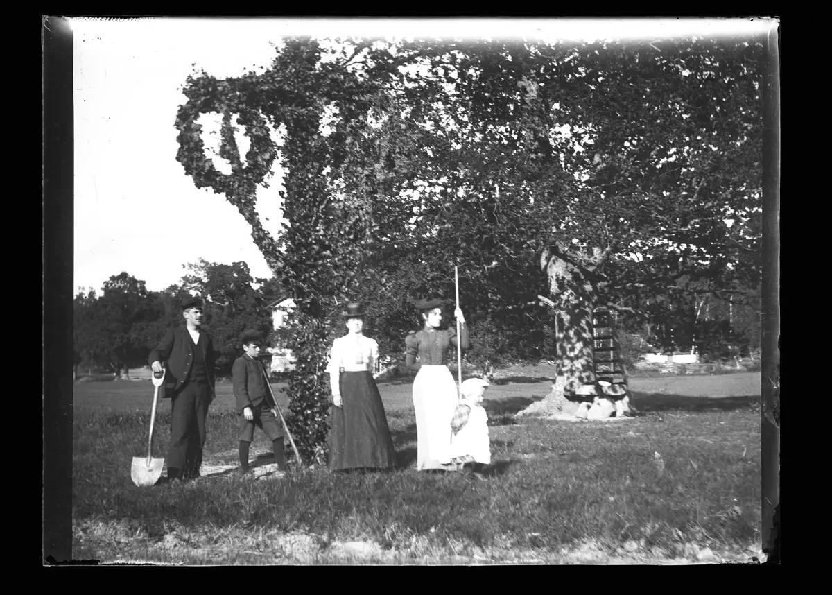"Midsommarstången på Sätra.
Midsommaraftonen 1899.
Fru Lindström, fröken Nilsson, Harald Friberg, Hugo Pehrson, Axel J Pehrson."
Fotografiet togs troligtvis av Axel Pehrson som hade sommarställe i Sjöstugan, Sätra.