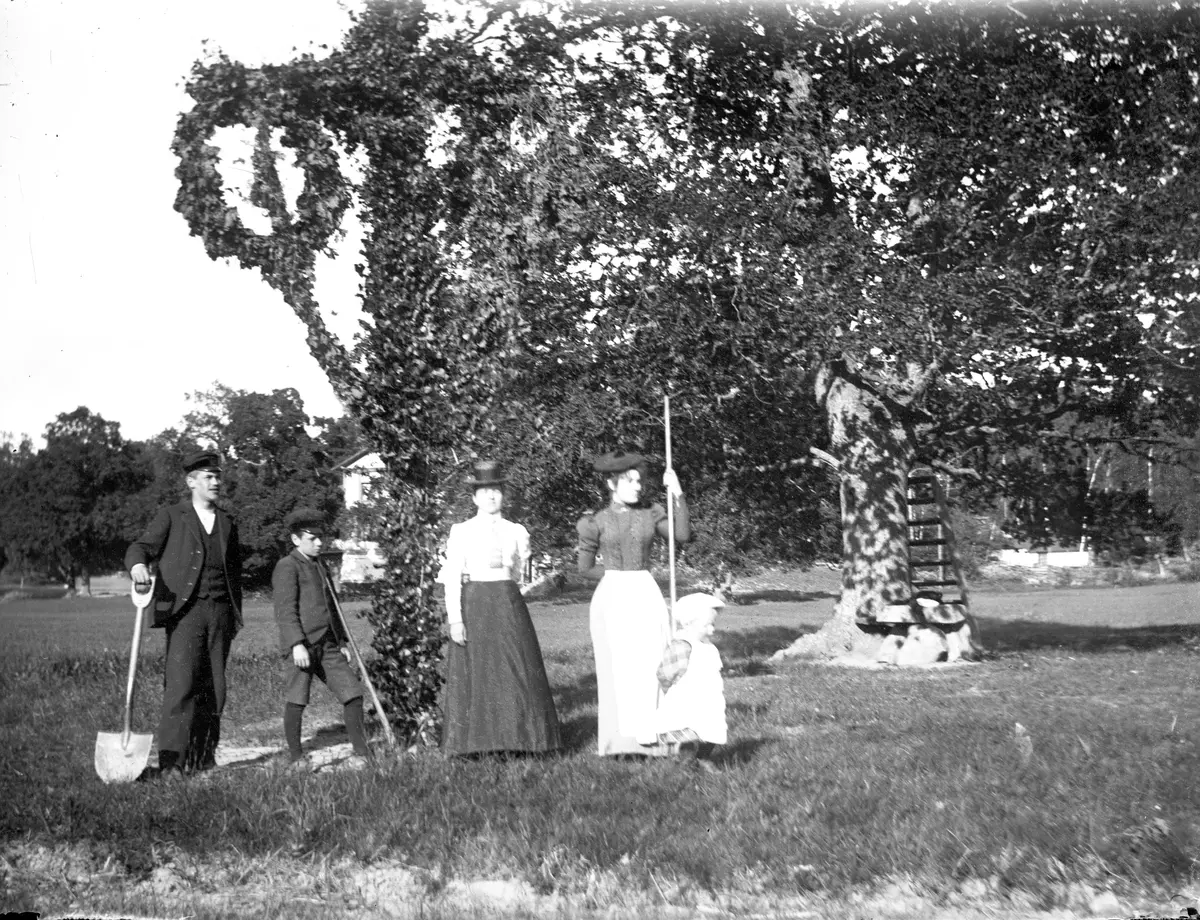 "Midsommarstången på Sätra.
Midsommaraftonen 1899.
Fru Lindström, fröken Nilsson, Harald Friberg, Hugo Pehrson, Axel J Pehrson."
Fotografiet togs troligtvis av Axel Pehrson som hade sommarställe i Sjöstugan, Sätra.