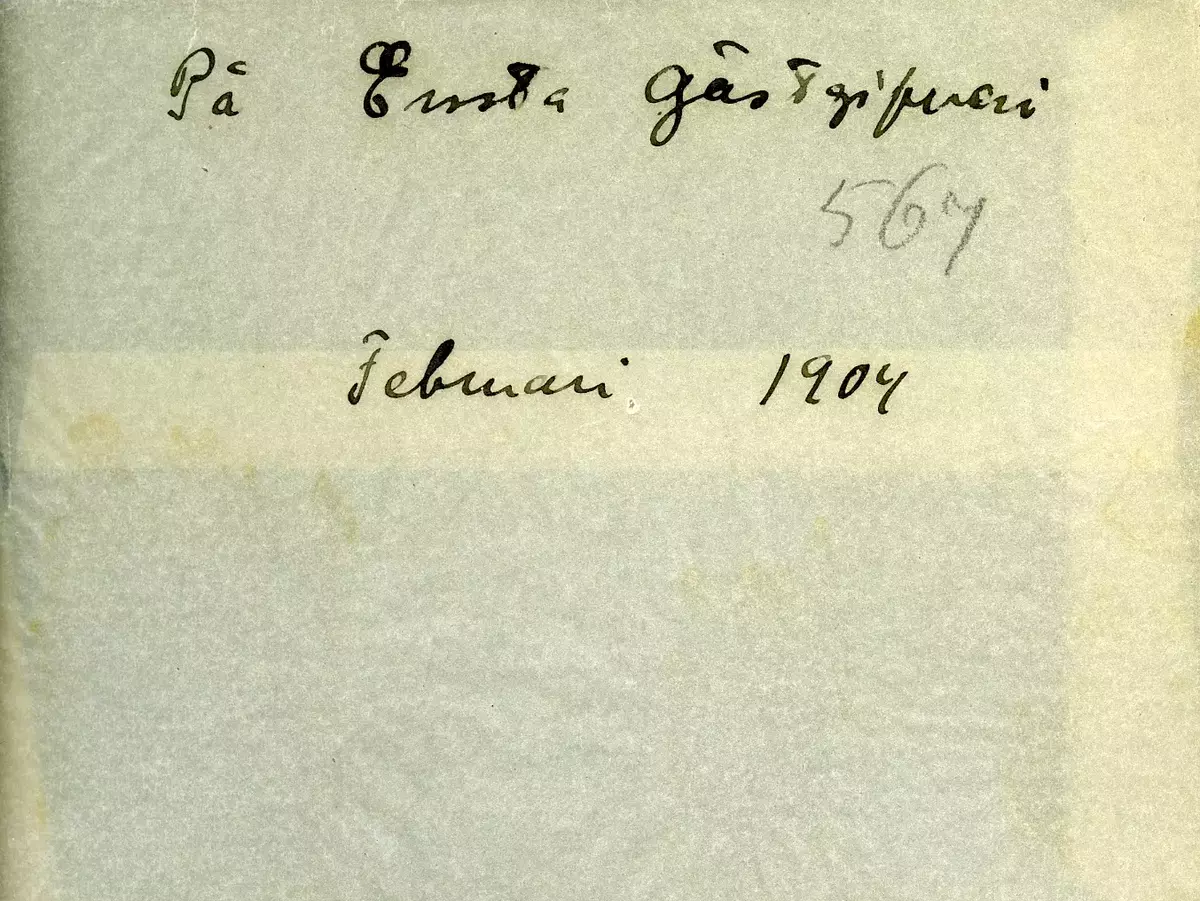 "På Ensta gästgifveri. Februari 1904."
Fotot troligen taget av Axel Pehrson som var sommargäst på Sjöstugan som låg vid Sätra äng, Danderyd.
Är detta samma byggnad som Ensta krog?