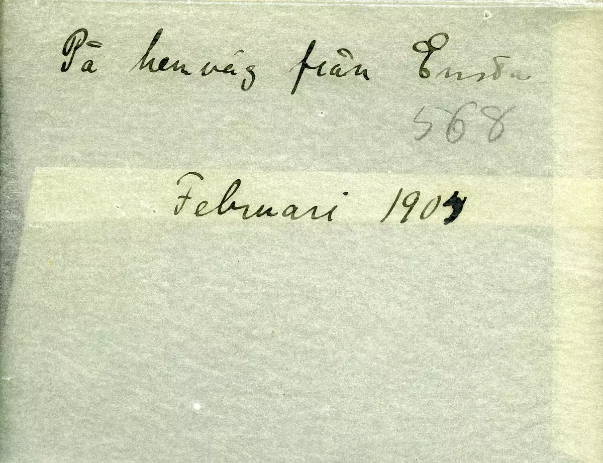 "På hemväg från Ensta. Februari 1904."
Fotot troligen taget av Axel Pehrson, sommargäst vid Sjöstugan, Sätra äng, Danderyd.