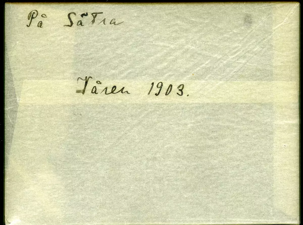 "På Sätra våren 1903."
Fotot troligen taget av Axel Pehrson, sommargäst vid Sjöstugan, Sätra äng, Danderyd. ::