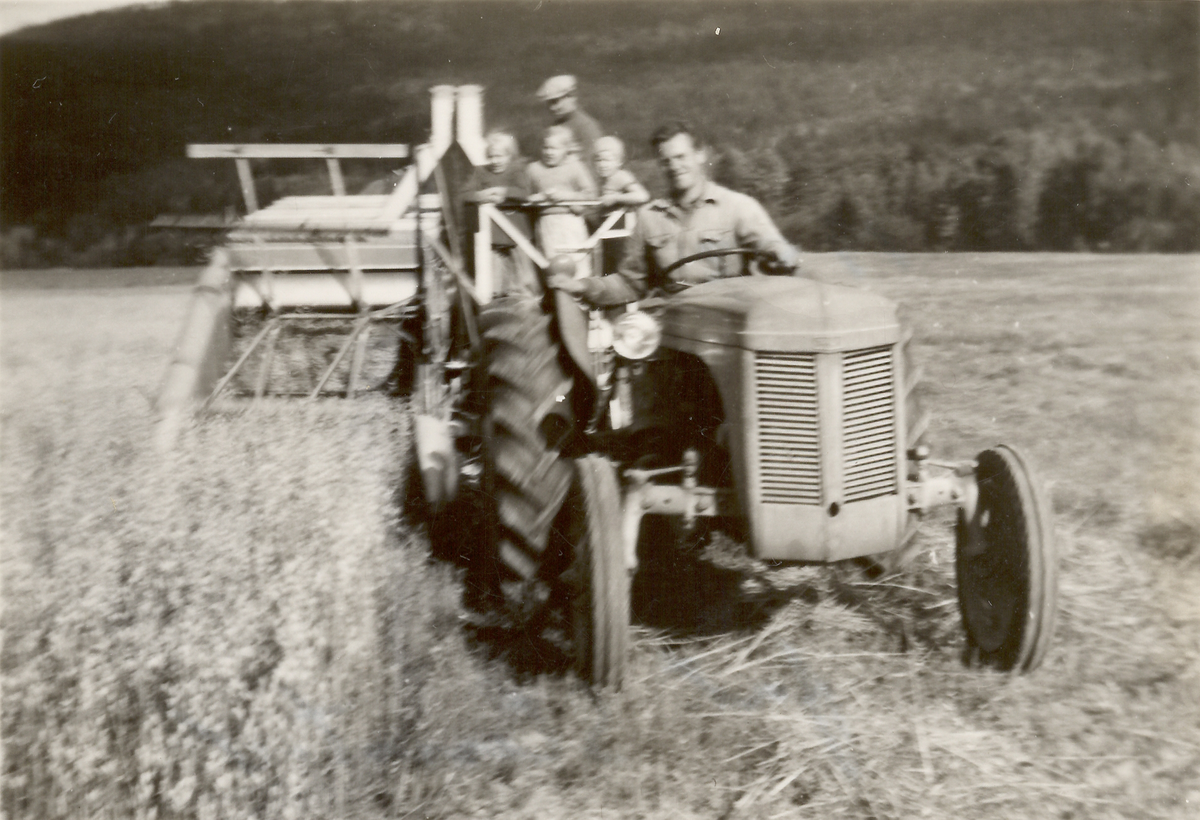 Sandsværs første tresker med Ferguson traktor (gråtass) .  Fører Gustav Tomta. Fra v. Laila Kjørstad (Ødegården), Tordis Kjørstad, Terje Kjørstad, Torger Kjørstad.