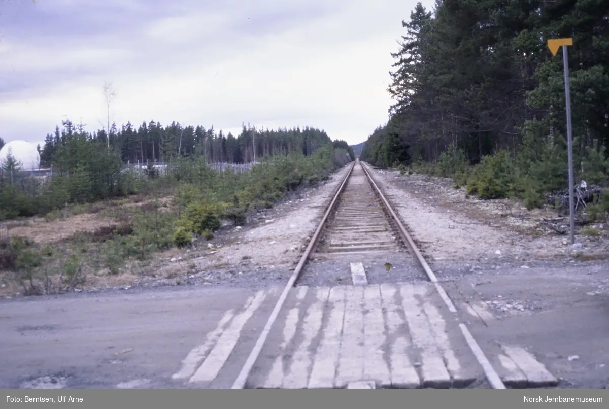 Ved Marigård tidligere holdeplass mellom Hen og Randsfjord på Randsfjordbanen