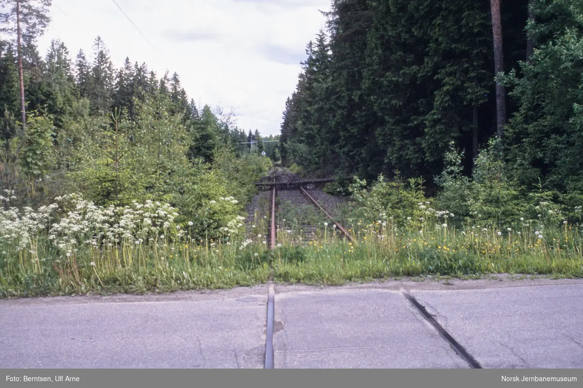 Endepunkt for det nedlagte sidesporet Hauerseter-Gardermoen, her mellom Sand og Vilberg