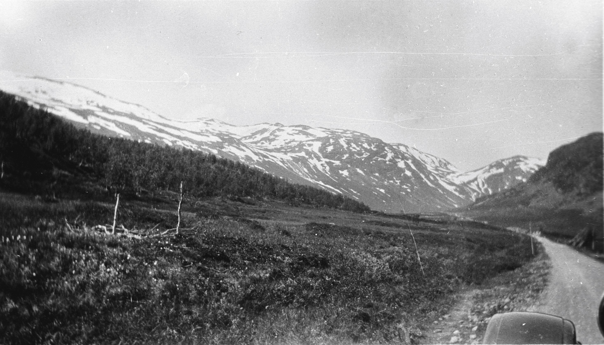 Hemsedalsfjellet.