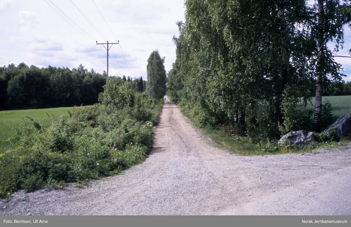 Langs Bergerlinna, tidligere hestejernbane mellom Hurdalsjøen og Dal stasjon på Hovedbanen