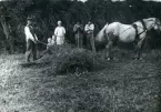 Kolbäck sn.
Höbärgning i Forsta, 1917.