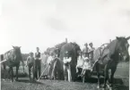 Kolbäck sn.
Skördearbete, c:a 1910-1915.