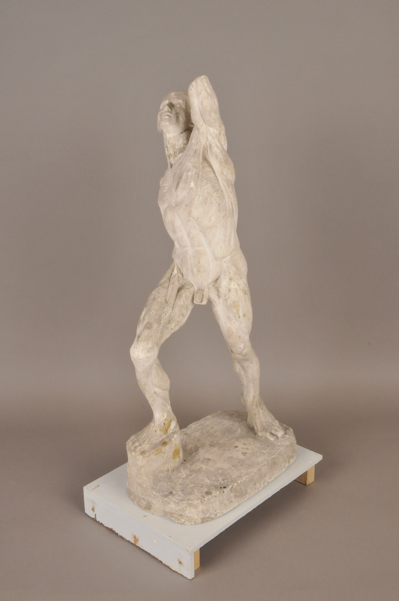 Anatomistudie [Skulptur]