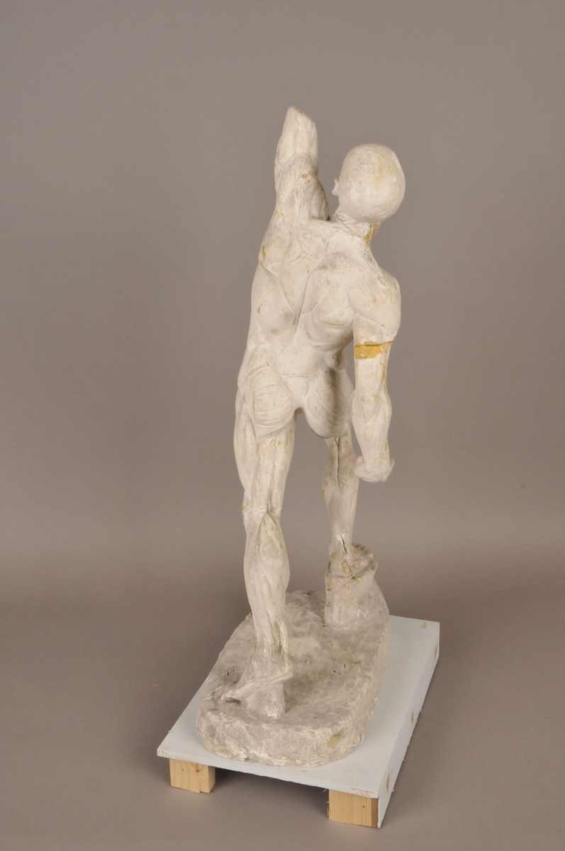 Anatomistudie [Skulptur]