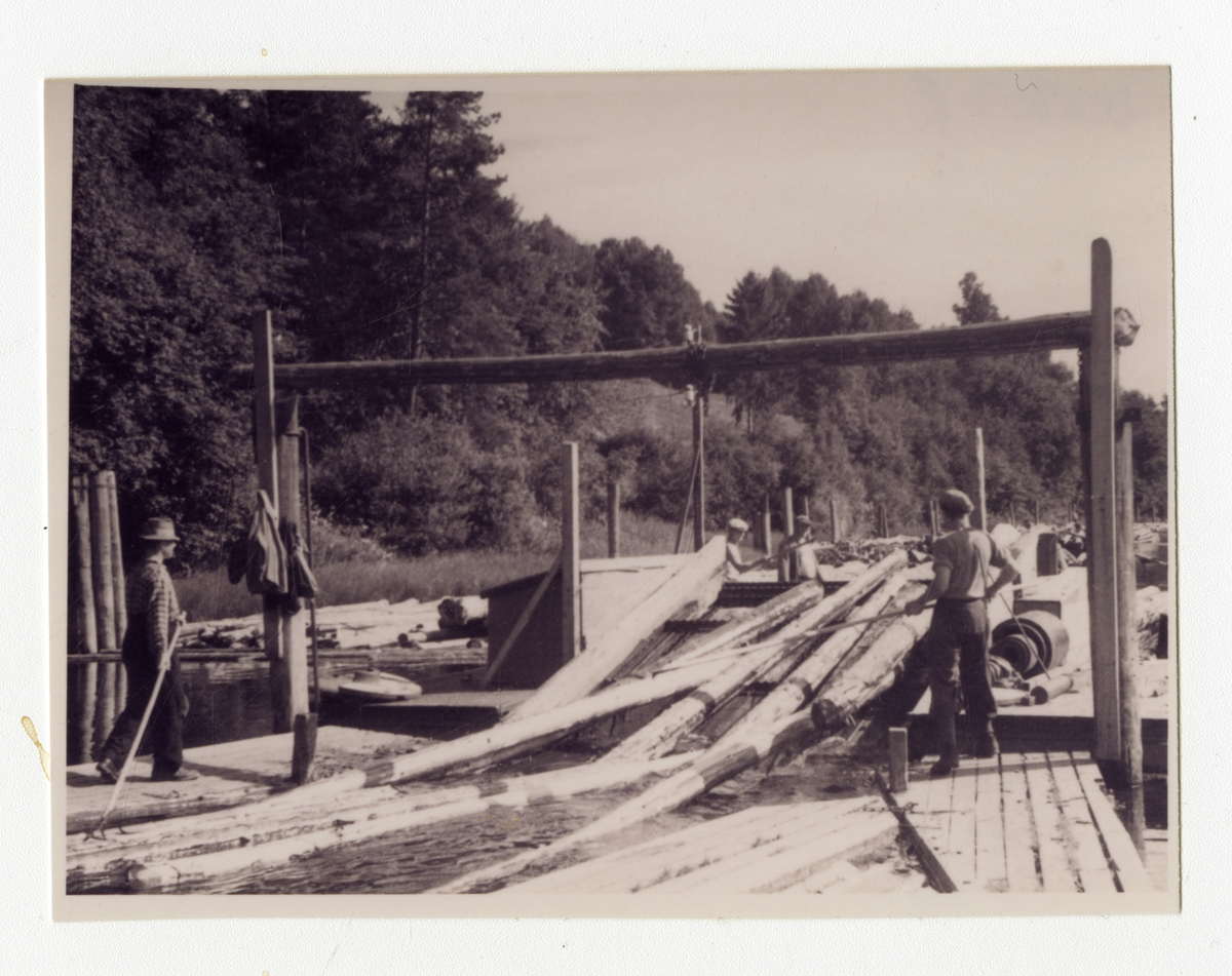 Fra Goberg lense i Falkumelva. Rett ned for Århus 

Bilde 1: Ingar Bøe stikker på tømmer, ca. 1942-43

Bilde 2: Vi ser "rom" eller "skillinger" der tømmeret ble sortert etter ved, sulfat, gran, furu, slip og skurd. 3 mann stikker på tømmeret. Fra venstre: Ivar Kittilsen, Halvor Ambrosen, Bertrand Andersen (bodde ved lensa). 

Flåtene mellom "rommene" kalles vandringen. De korte stokkene i forgrunnen er skilt til ved. 

Bilde 3: Ivar Kittilsen står med hake og sorterer.

Bilde 4: Fra soppeapparatet ved Goberg lense. Karl Flittig står og tar imot tømmeret. Tømmeret går over apparatet og detter ned i mosa. Det sto 2-3 mann der og tok imot etter hvor hardt de kjørte

Bilde 5: Moseapparatet ved Goberg lense. Karl Flittig og Fridtjof Bolstad tar imot. Tømmeret samles mellom 2 lemmer og det slås vaier omkring., 

Bilde 6: Fra moseapparatet. Til venstre Gustav Gulliksen. Til høyre Ingar Bøe. Det var hardt å stå der og stikke på. De måtte passe på så det ikke gikk for fort opp så de som sto bak rakk å ta imot

Bilde 7: Spisebrakka ved Goberg lense. Flåtelaget til Løvenskiold Fossum foran. Fra venstre: Olaf Dahl, (bak) Trygve Holmbakken, Olav Langangen, ukjent, Ingvald Fjelldalen, Karl Foss. 

Bildet tatt litt før 1950., 

Bilde 8: Flåtelaget ved Goberg lense ca. 1925. Stående fra venstre: Magnus Kittilsen (far av Olav Kittilsen, som eier bildene), Ole Haugerød, Peder Bø, ukjent Frisk, Gustav Kittilsen, Anders Hyni, Karl Sørensen, Nils Kittilsen, Hans Aas. 

Sittende: Andreas Espedalen, Johannes Slettemo, Sveinung Thomassen, Halvor Ambrosen og Otto Sigurdsen.