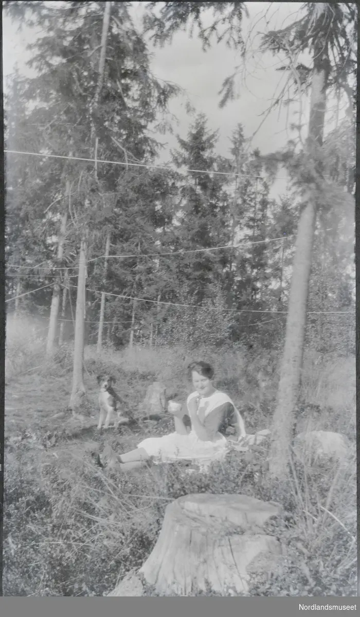 Kvinne i kjole med hvitt forkle sitter i et hogstfelt eller ung granskog med en jakthund og drikker fra en kopp