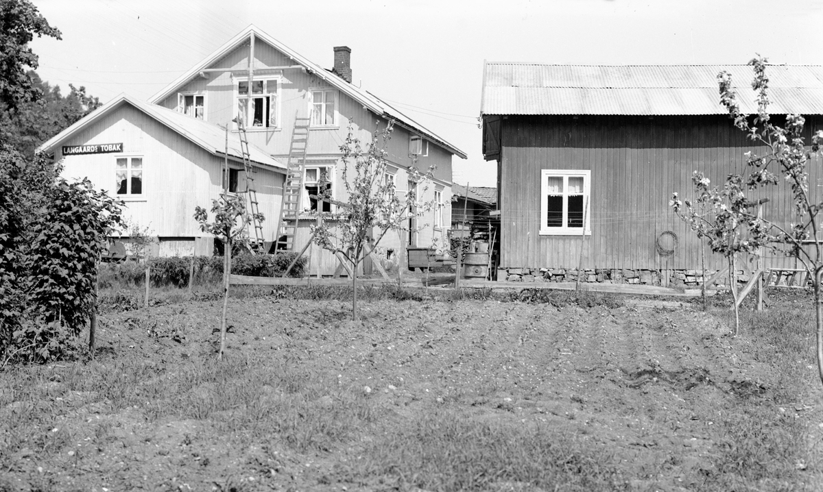 Kolonialforetning Olav Nevrad, Numedalsveien 14. Sett fra husets haveside
