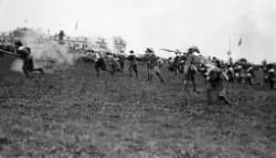 300 års jubileum 1931