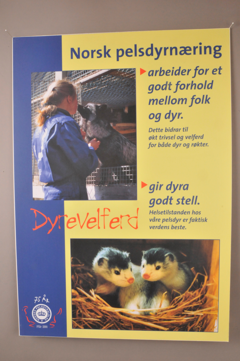 6. stk plansjer med tekst og foto opplima på kapaplater.