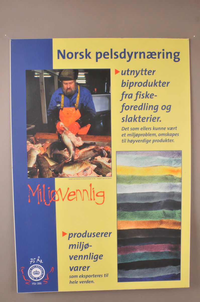 6. stk plansjer med tekst og foto opplima på kapaplater.
