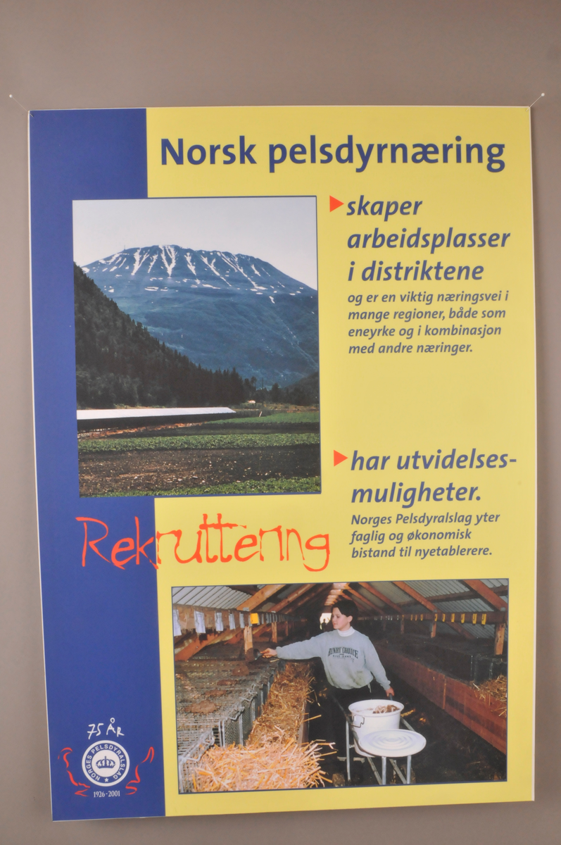 6. stk plansjer med tekst og foto opplima på kapaplater.