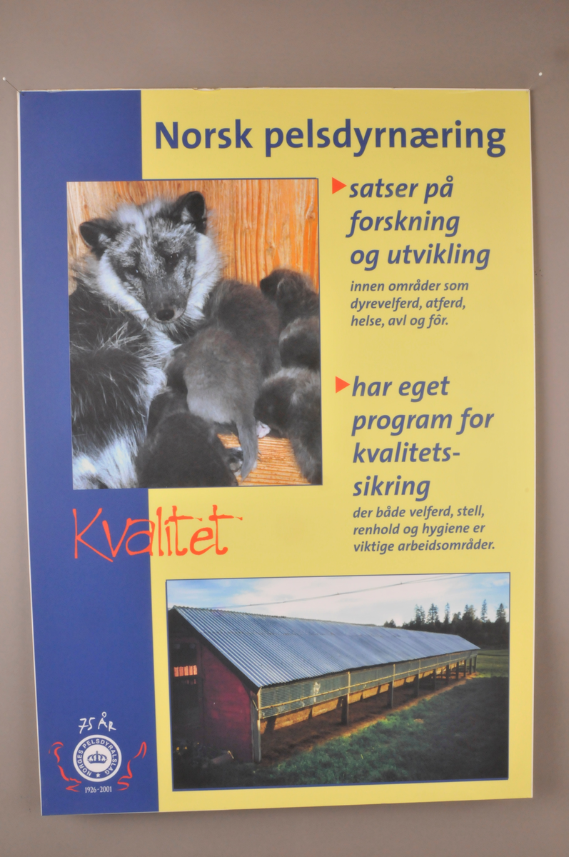 6. stk plansjer med tekst og foto opplima på kapaplater.