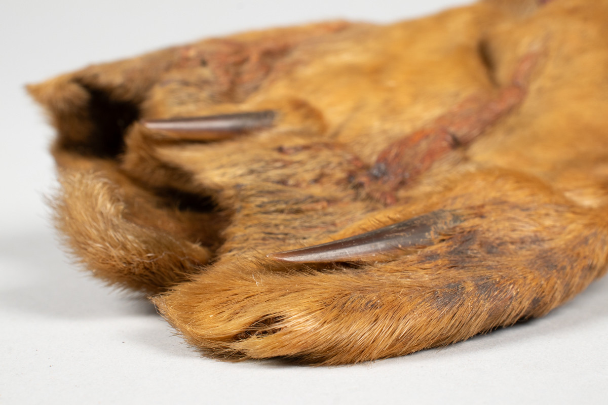 Tobakkspung laget av selluffe med snøring i toppen. 