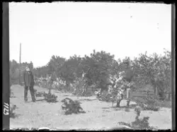 På kuvertet står följande information sammanställd vid musee