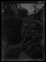 På kuvertet står följande information sammanställd vid musee