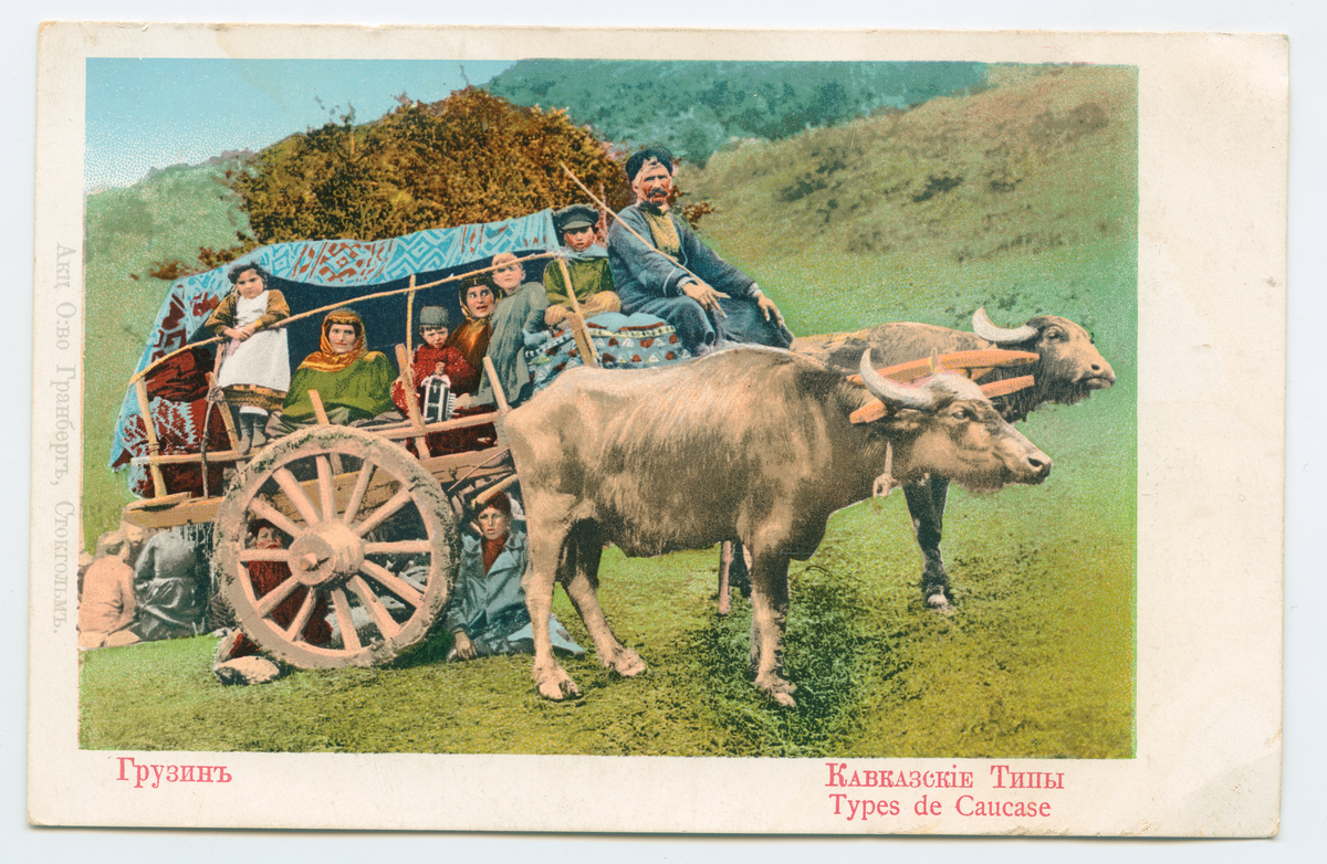 På kuvertet står följande information sammanställd vid museets första genomgång av materialet: Bufflar drar vagn med Kaukasier.