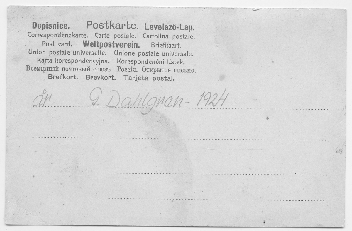 På kuvertet står följande information sammanställd vid museets första genomgång av materialet: Bufflar drar vagn med Kaukasier.