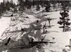 Fyra man med snödräkt ligger vid skogsväg och siktar med gevär m/1896.