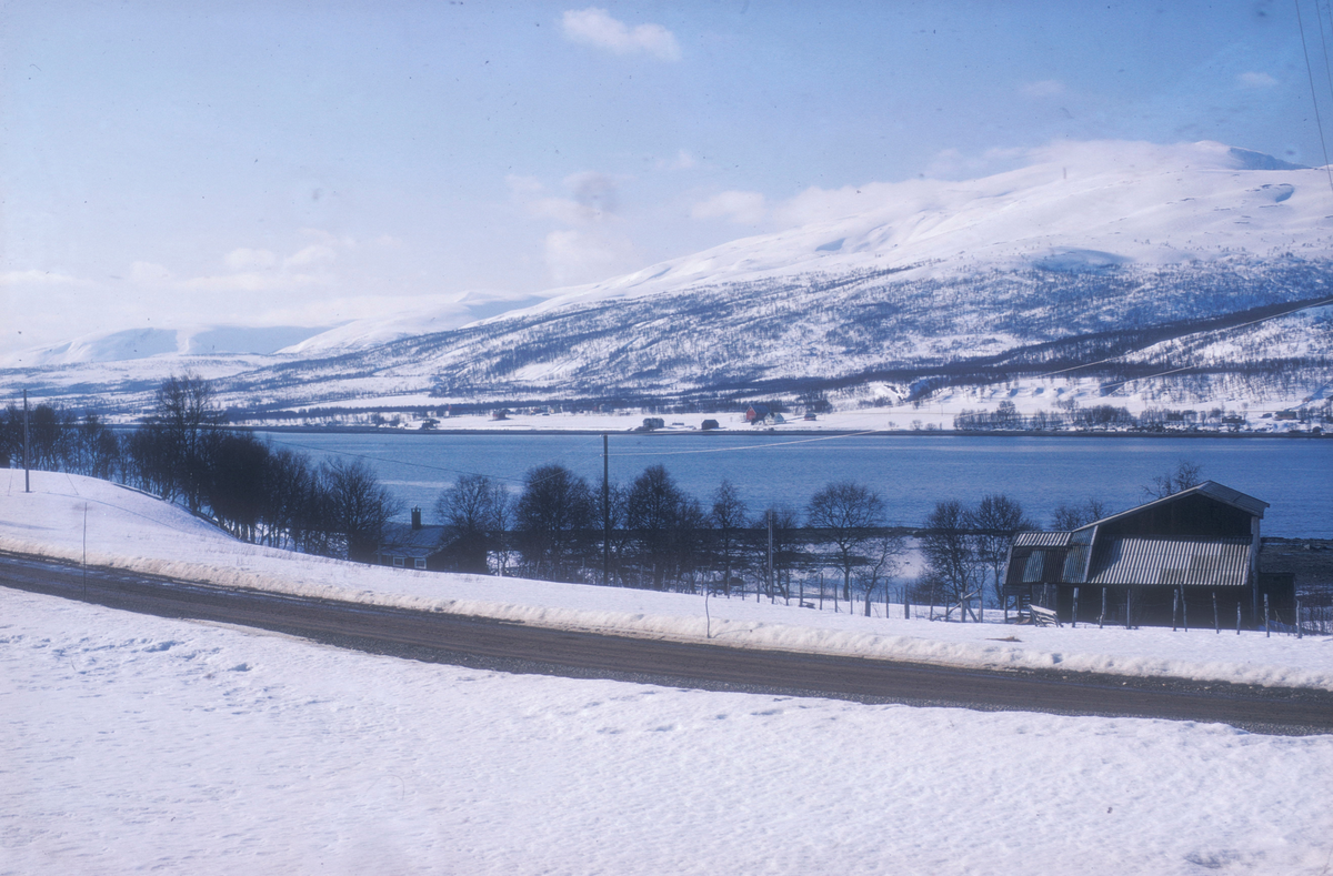 Prospektbilde, vinterlandskap