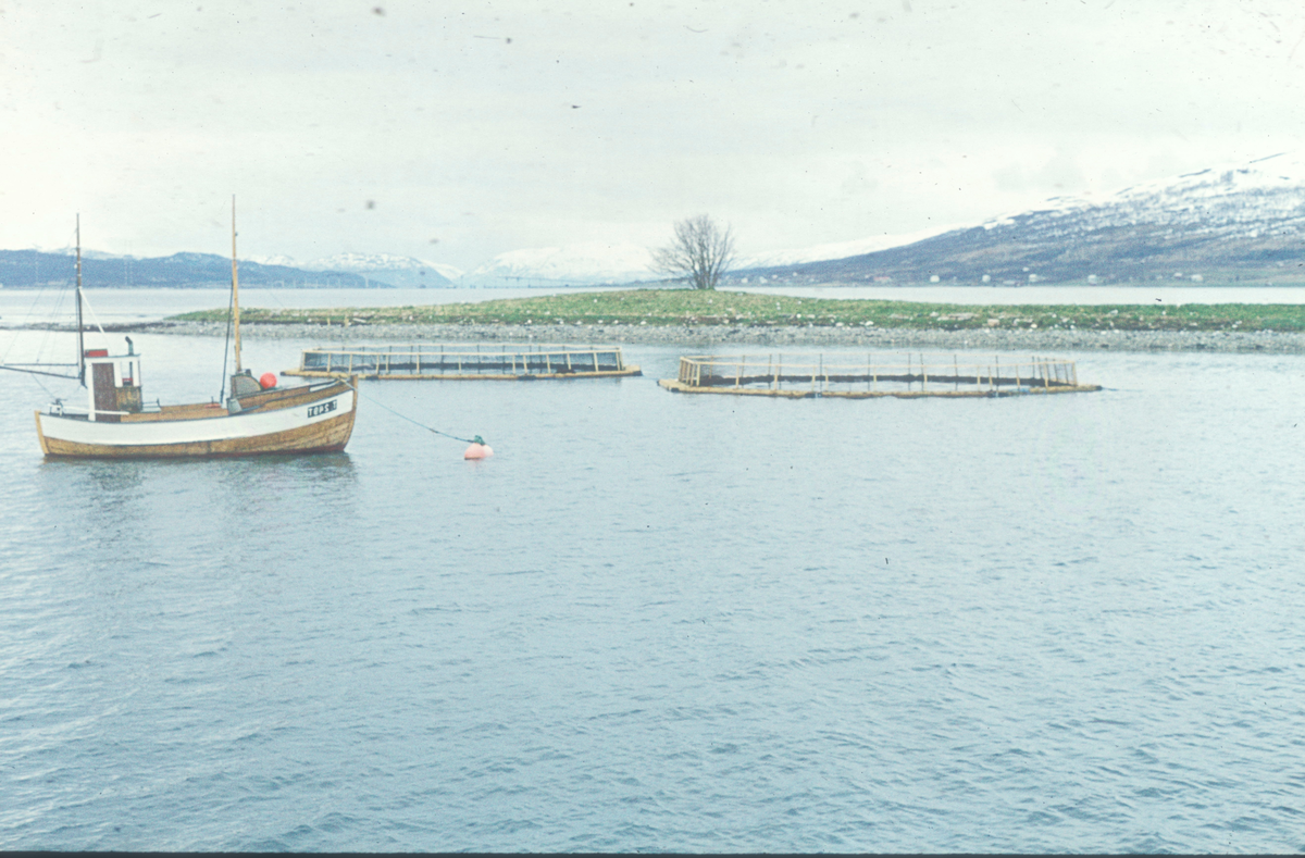 Prospektbilde : Et par oppdrettsmerder på vannet, kystlandskap i bakgrunnen.