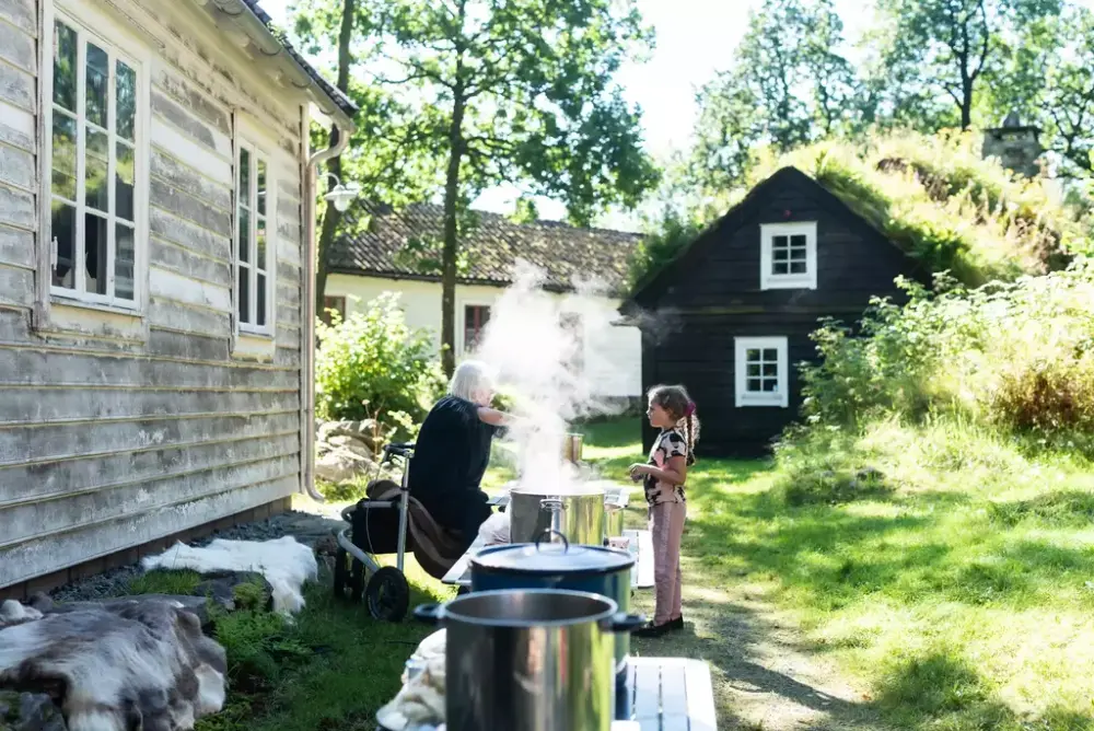 plantefarging utandørs