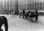 Livgardets dragoner K 1och Hovstallet övar kortegevägen inför kungabröllopet, Stortorget, Stockholm.