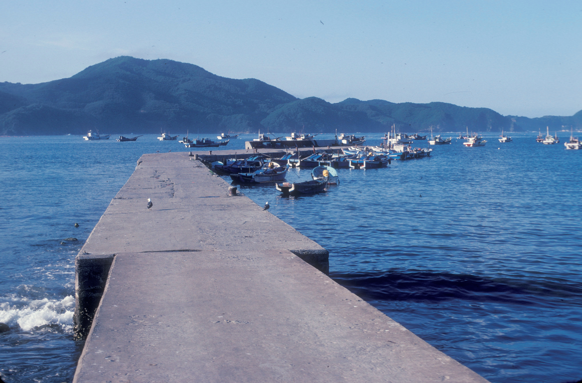 Motiv fra Japantur : Havneområde/molo med fiskebåter som ligger ankret opp og/eller fortøyd