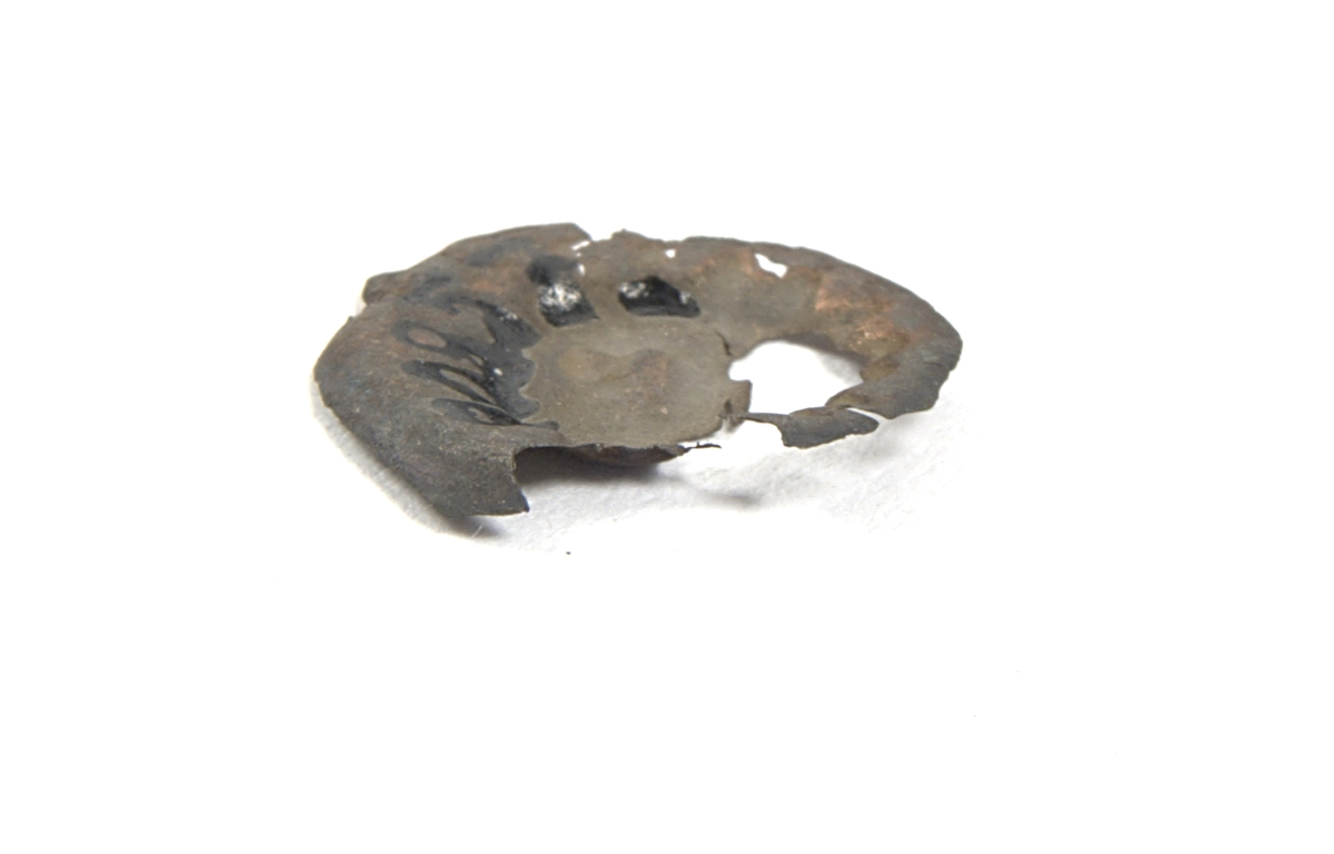 Mynt. Arkeologiskt föremål.