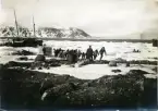 Ballongen Örnen i sitt kolli förs i land på Danskön från kanonbåten Svensksund till vänster. Ångaren Virgo skymtar till höger. Mycket drivis mot stranden.