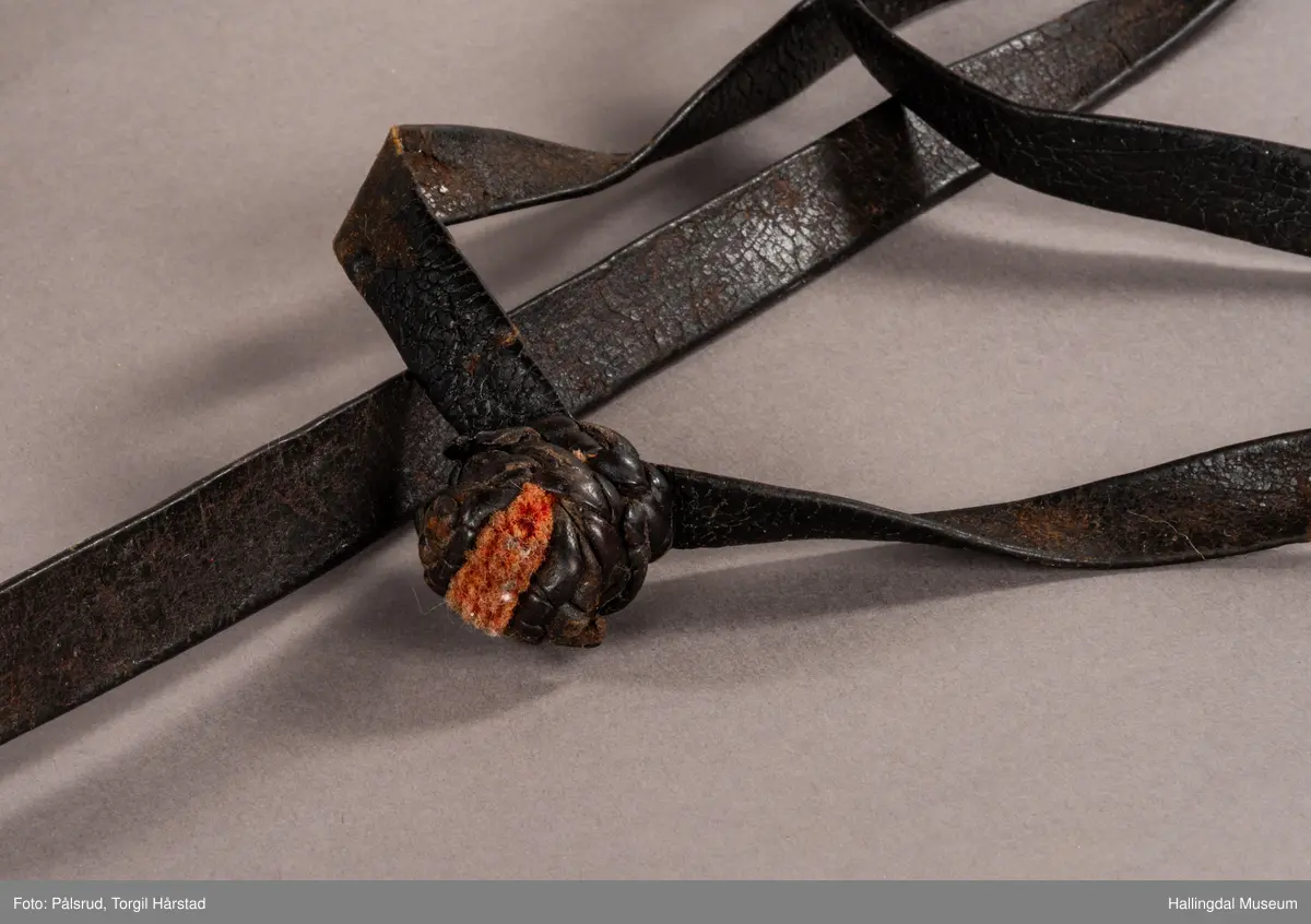 Hodelag til hest med munnbitt og tømmer. Hodelaget er dekoret med kauriskjell og rød ull. Skylapper, trapesformet dekorert midt på med lærrosett og hvite kauriskjell. Kort tømme, ender i kute av lærfletting og røde ullfrynser, frynsene er slitt bort. Munnbitt av jern. Stassele.