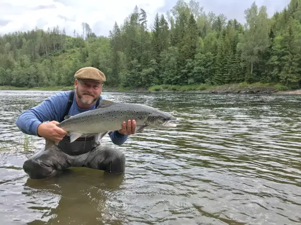 En mann sitter på huk i en elv med en stor laks i hendene.