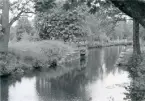 Hallstahammar sn.
Strömsholmsholms kanal, Trångfors. 1984.