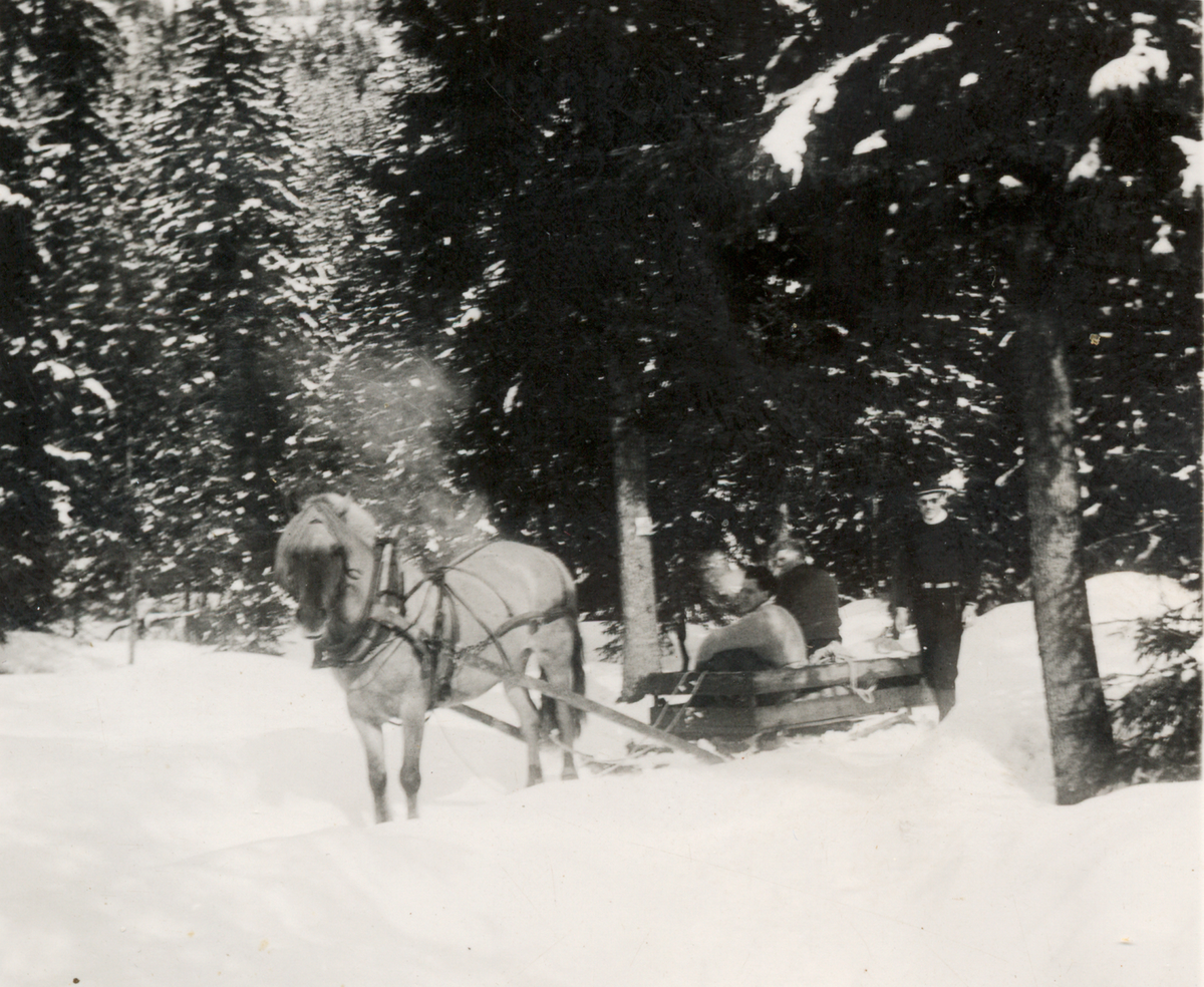 Transport av pargass til påskefjellet.
Kusk Peder Surlien, Magnhild Waal, Arne Sørhaug.