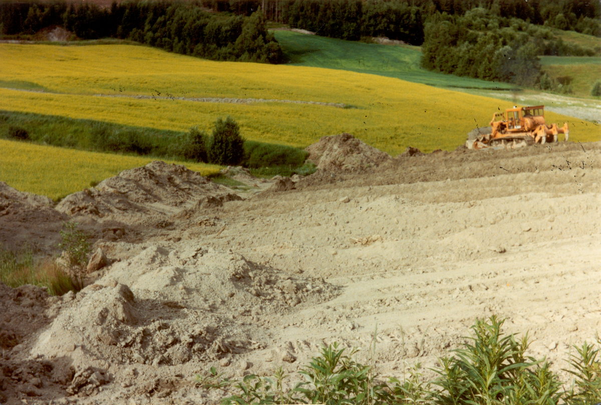 Planering av øvre jordet på Aannestad, hos Sigvart Røsholt. (Sigvart Røsholt Pedersen)