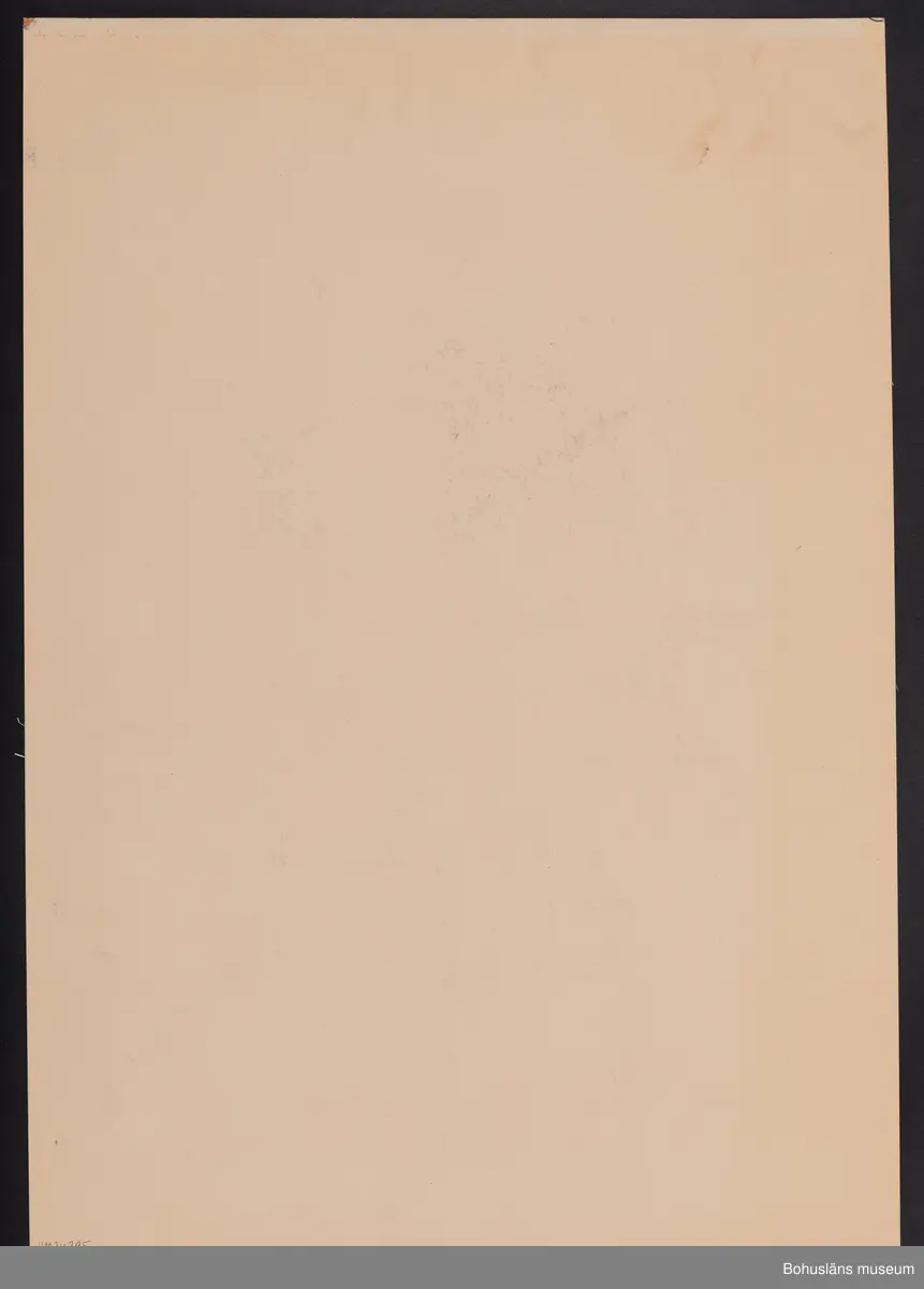 Per Hjern