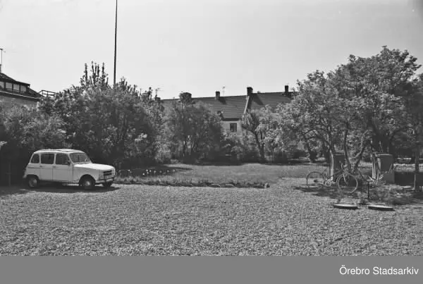 TRÄDGÅRD OCH BIL