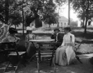 Ögonblick från fotografens besök av Medevi brunn 1906 där ett sällskap sökte en stunds vila i skuggan av lövverket.