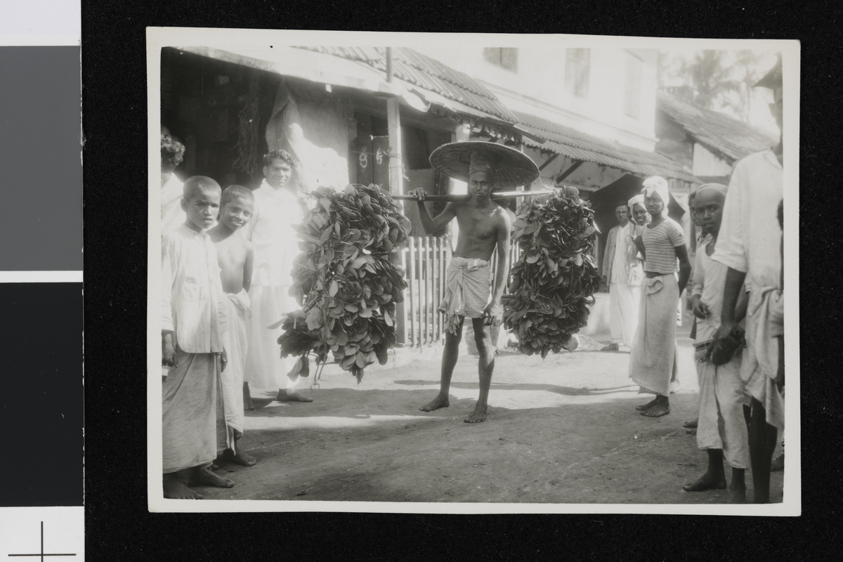 En kjøpmann med betelblader. Fotografi tatt i forbindelse med Elisabeth Meyers reise til India 1932-33.